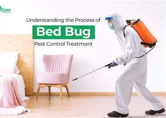 Bed Bugs Control