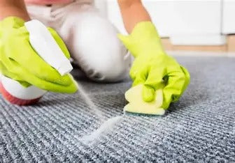 Carpet Cleaning Service